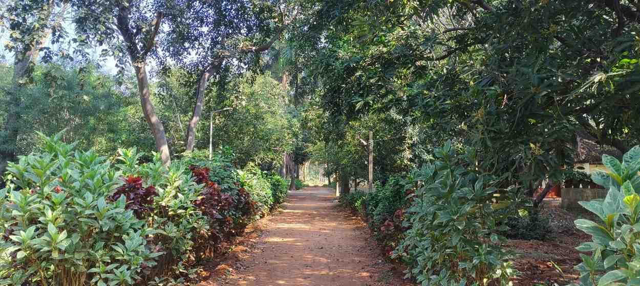 Independence Day celebration with Swami