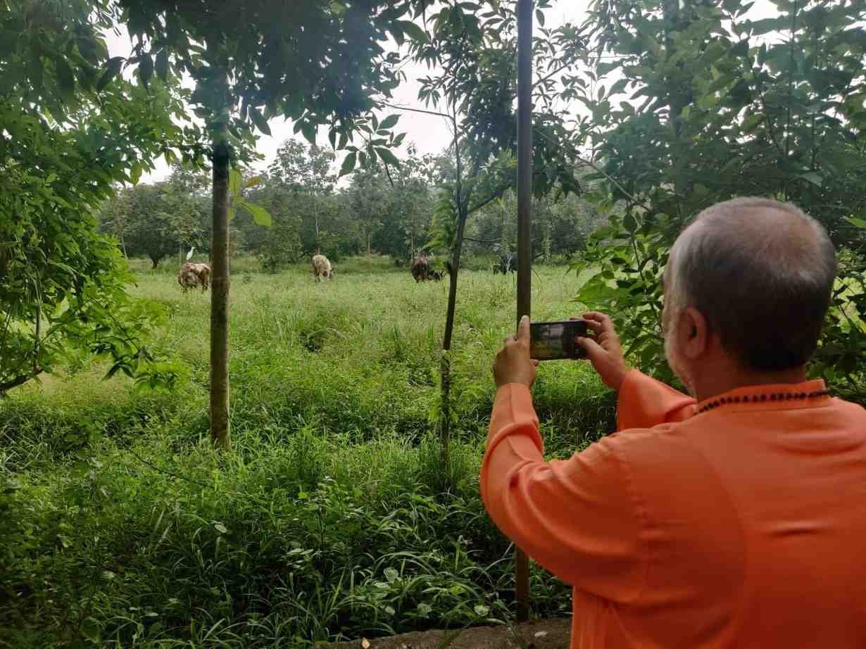 Swami enjoying nature at ashram